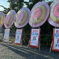 画像284